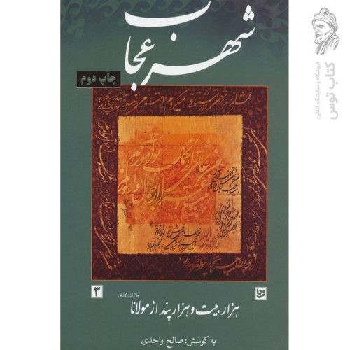 کتاب شهر عجاب (هزار بیت و هزار پند از مولانا) جلد3 نشر گویا
