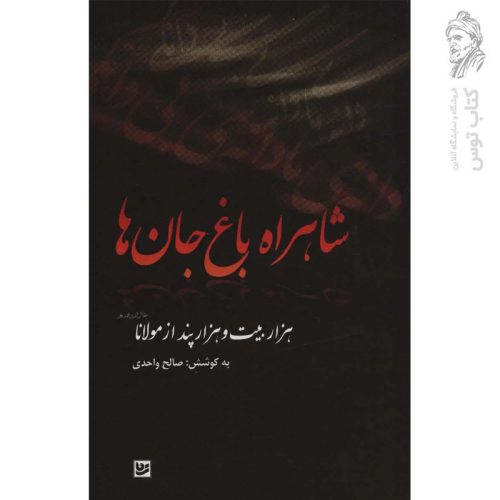 کتاب شاهراه باغ جان ها اثر صالح واحدی نشر گویا