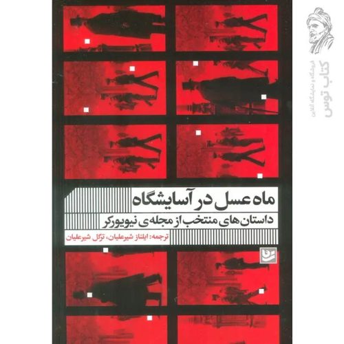 کتاب ماه عسل در آسایشگاه اثر جمعی از نویسندگان نشر گویا