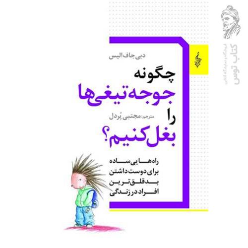 کتاب چگونه جوجه تیغی ها را بغل کنیم؟ اثر دبی جاف الیس نشر ترانه