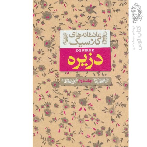 کتاب دزیره جلد 2 اثر آن ماری سلینکو (عاشقانه های کلاسیک) نشر افق