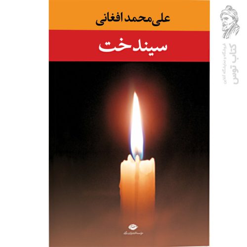 کتاب سیندخت اثر علی محمد افغانی نشر نگاه