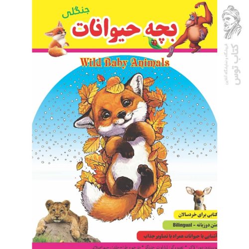 کتاب بچه حیوانات جنگلی نشر گهواره