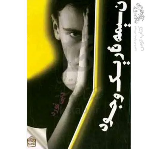 کتاب نیمه تاریک وجود اثر دبی فورد نشر فانوس روشن