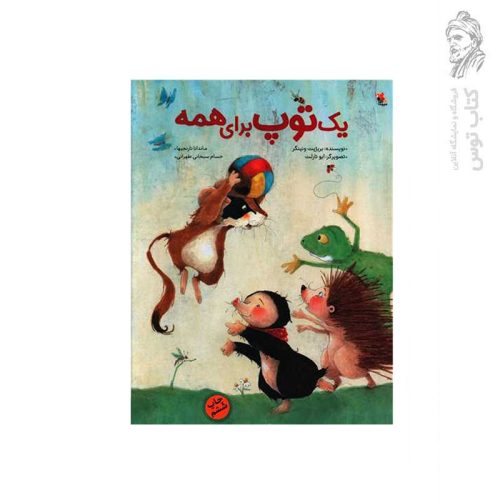 کتاب یک توپ برای همه اثر بریژیت ونینگر نشر میچکا مبتکران
