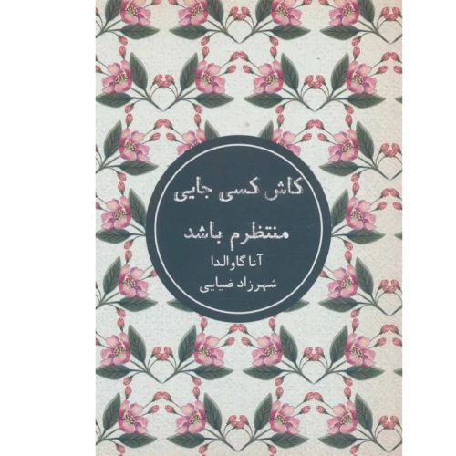 کتاب کاش کسی جایی منتظرم باشد اثر آنا گاوالدا نشر شمشاد